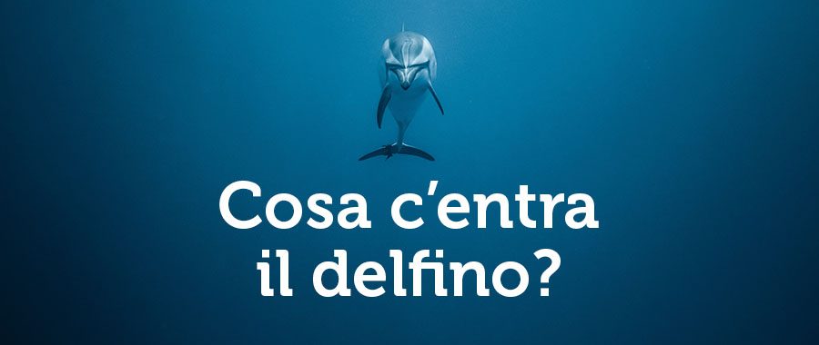 Il delfino di Timenet, cosa c'entra con un operatore telefonico?